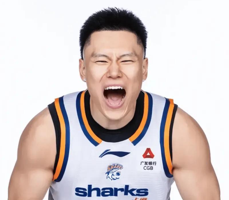 CA88介绍图片